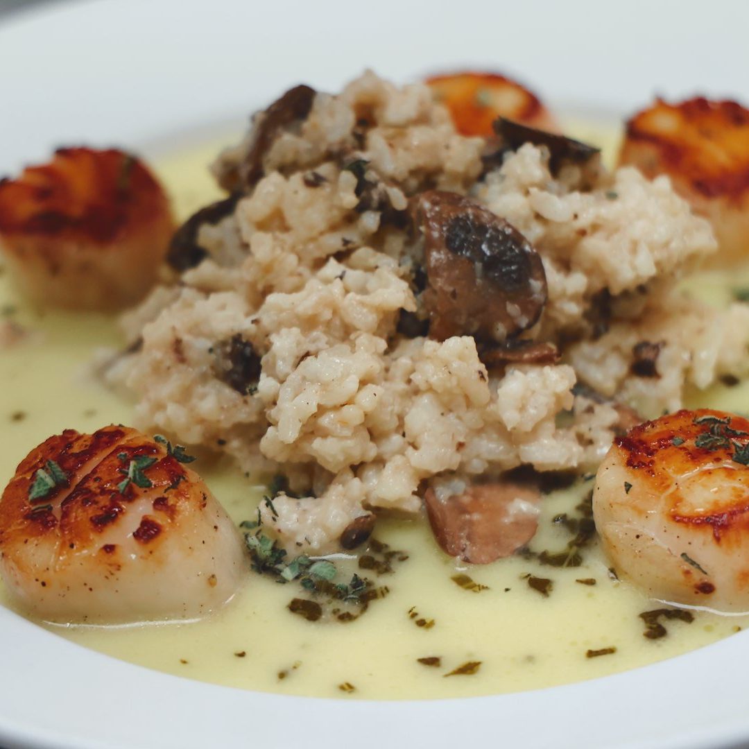 A white plate with scallops, rice and mushrooms.